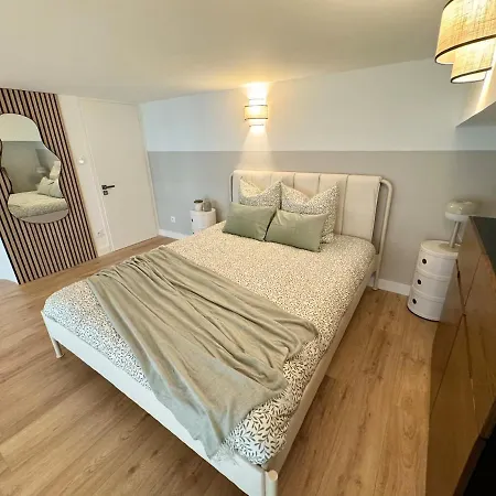 Beautiful Modern Loft In Apartament Grenoble