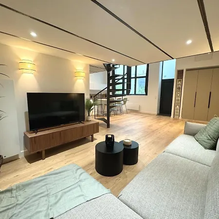 Beautiful Modern Loft In Apartament Grenoble